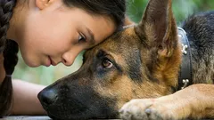 Sprechen Sie mit Ihrem Hund in seiner Sprache: 7 Gesten, die die Worte „Ich liebe dich“ ersetzen