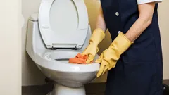 So reinigen Sie die Toilette gründlich und erzielen in nur wenigen Schritten perfekte Sauberkeit.