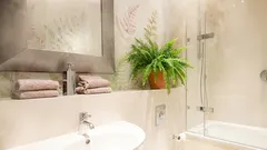 Zimmerpflanzen, die helfen können, hohe Luftfeuchtigkeit in der Wohnung zu bekämpfen